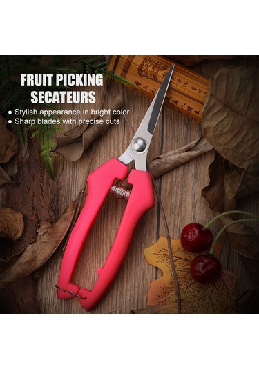 Singree "paslanmaz Çelik Bahçe Makası - Meyve Toplama, Budama Ve Çay Yaprağı Kesme Aleti Kırmızı, Büyük Boy "