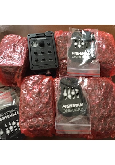 Fishman PSY-201 Ekolayzer