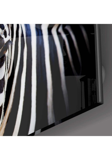 Zebra Cam Tablo