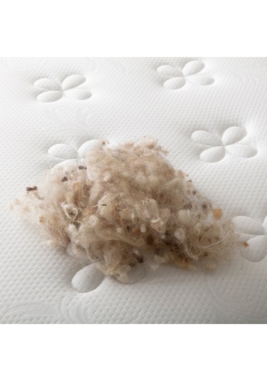 Uzunbebe 100X160 Pc Parrot Astra Ortopedik Tek Kişilik Yaylı Yatak