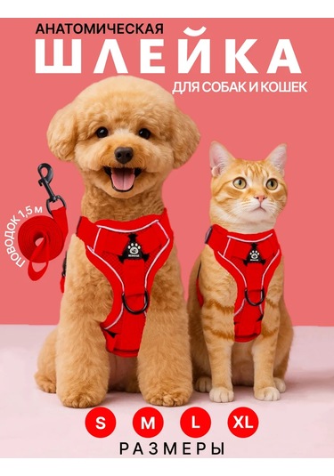 Tori Küçük Ve Orta Irklar İçin Tasmalı Köpek Kayışı Ve Kedi Şeridi 451340234