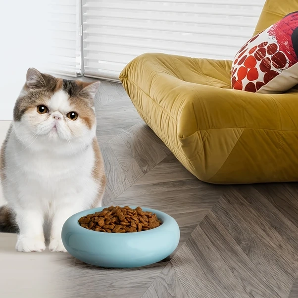 Elmpaly Ktlecl 6.1 İnç Seramik Pembe Kedi Kabı - Kusma Önleyici, Bıyık Yorgunluğu Ve Omurga Koruma