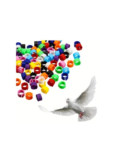 Chuangyinshop Karışık Renk 50 Adet Takma Bileklik: Civciv, Bıldırcın Ve Oğlaklar İçin Kanatlı Bileklik