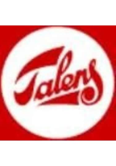 Van Gogh 24 Renk Fırçalı Taş Suluboya Seti