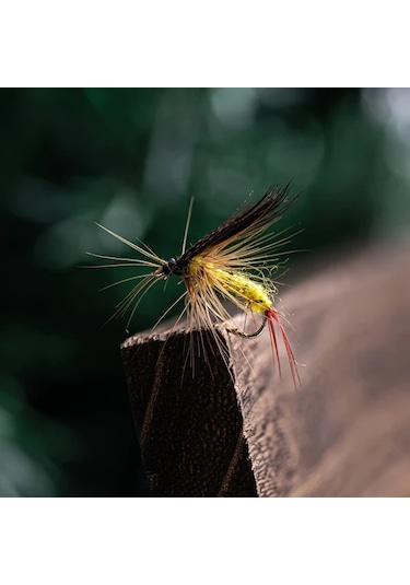 Fochsia Goture 100 Adet Sinek Olta Yemi Kuru Sinek Islak Sinek Streamer Nympha Gercekci Renkli Alabalik Levrek Sazan