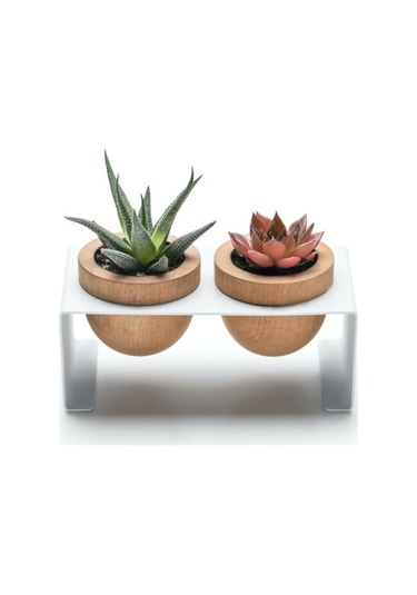 Halohope Metal Stantlı 2'li Skulent Saksısı Beyaz Saksılık