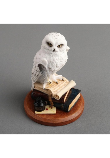 Kitap Üzerinde Beyaz Kar Baykuşu Hedwig Biblosu