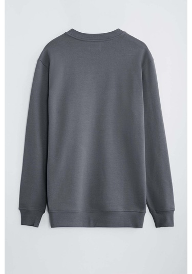 Travis Erkek Organik Kumaşlı Yumuşacık Regular Fit Yuvarlak Yakalı Koyu Gri Sweat