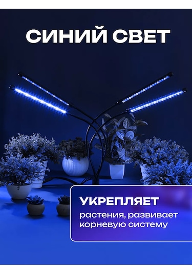 Miland Bitkiler Ve Fideler İçin Fitoluk 205302402 Violet