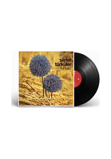 Ruhi Su - Şiirler Türküler Plak