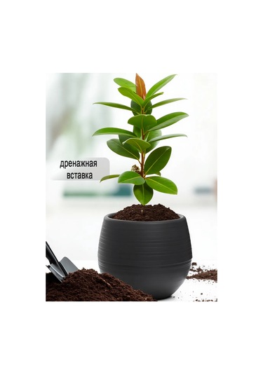 Saburg Çiçek Saksısı Seti 2 Adet, 1,2 Litre Otopompalı Saksı 60807039