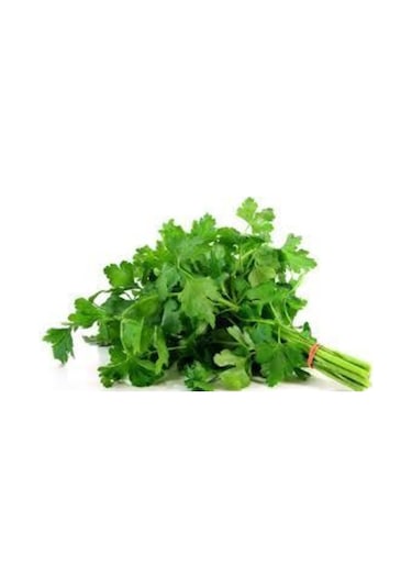 50 Adet Tohum Geniş Yaprak Maydonoz Tohumu Süpriz Hediye Sebze Tohumu Saksı Toprak Hediyemizdir