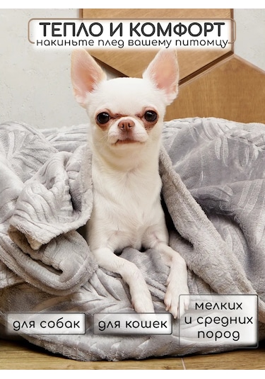 Kajfusi Köpekler, Kediler Ve Diğer Hayvanlar İçin Battaniye 344905100