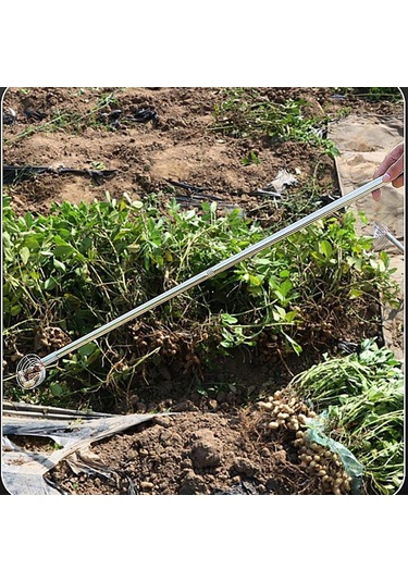 Suntek Ev Tipi Toplayıcı Pratik Uzun Saplı Çok Amaçlı Kabuk