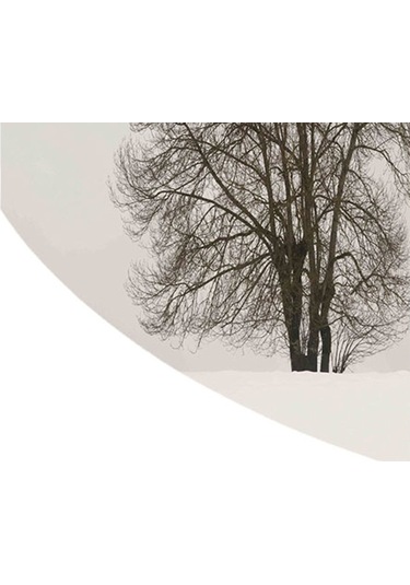 Suntek 140cm Dia Masalar Için Masa Örtüsü Restoran M