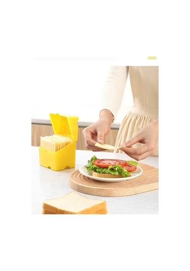 Yystore Peynir Sebzeliği Ac-8560 Kapaklı Peynir Kutusu Basit Stil