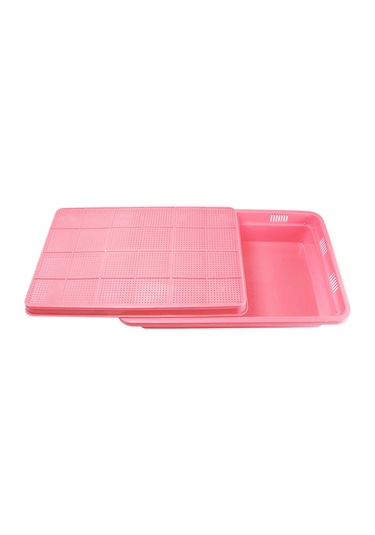 Suntek Tohum Filizleme Tepsisi 2 Katmanlı Mikro Yeşiller Pembe