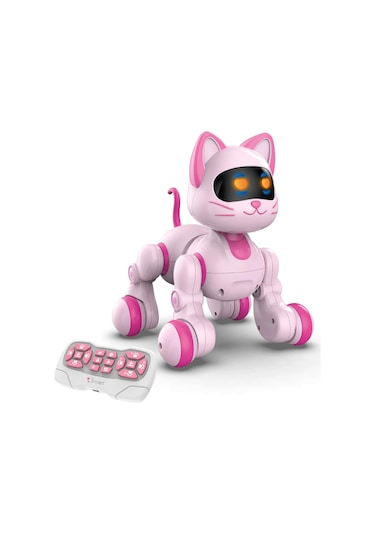 Uzaktan Kumandalı Ses Kontrollü Programlanabilir Akıllı Robot Kedi