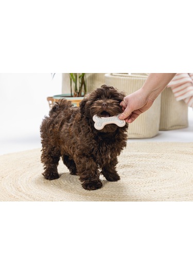 Beeztees Yavru Köpek Diş Oyuncağı, İçi Dolu Halka, Kauçuk, Pembe, 10cm