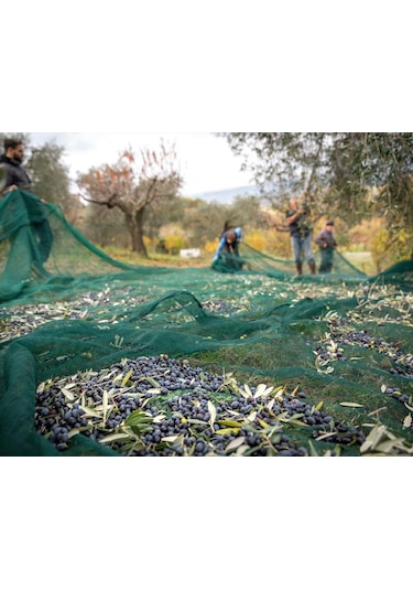 5X10 METRE ZEYTİN SERGİSİ ZEYTİN TOPLAMA FİLESİ FINDIK FISTIK ÖRT