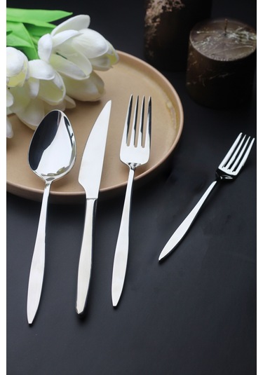 Ares 6 Kişilik 24 Parça Çatal Kaşık Bıçak Takımı Metal