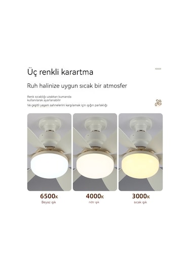 Altı Bıçaklı Fan Lambası Yatak Odası Oturma Odası Tavan Vantilatö 1 ADET