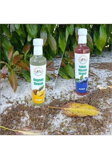 Ananas Sirkesi Yaban Mersini Sirkesi Toplam 1000 Ml