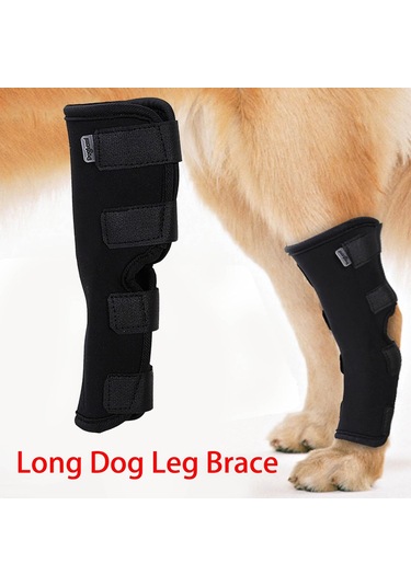 Homyl Artrit Yara İyileştirmesinden Kaynaklanan Stabilite Xl