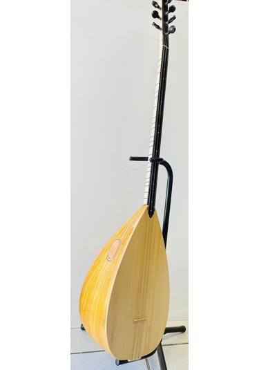 Profesyonel Uzun Sap Dut Bağlama