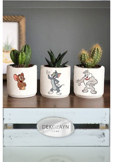 Modern Tom Ve Jerry El Çizimi Renkli Sukulent Ve Kaktüs Saksısı