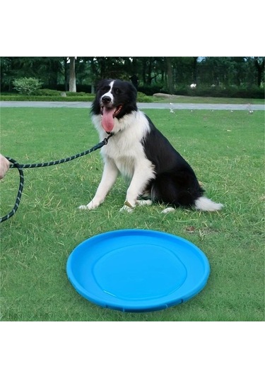 Primepickings 1 Adet Düz Renkli Köpek Eğitim Uçan Diski, Dayanıklı Çiğneme Oyuncağı Mor L