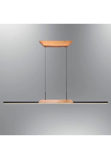 Özcan Aydınlatma 3148-1a-19 Elppir Tek Çubuklu Sarkıt Siyah Siyah 3000 K