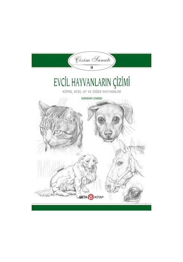 Çizim Sanatı 9 Evcil Hayvanların Çizimi Kit