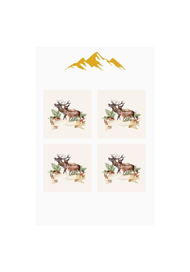 Dijital Baskılı Yumuşak Dokulu 4 Lü Kırlent Kılıfı Takımı 43x43 Cm Krl0055 Renkli