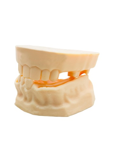 Barışhan Medikal Silikon Çene Diş Dikiş Modeli Ortodontik Alt Üst Çene Periodontal Sütür Eğitim Modeli-2