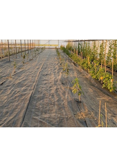 Morilu Sera Taban Örtüsü 90 GR Siyah - Yabani Ot Örtüsü - Jüt Malç Örtüsü - Ağaç Koruma Örtüsü