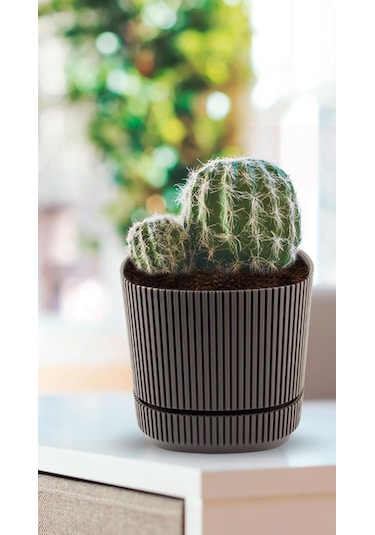 Omnipazar Krs-242 Pera Kare Dekoratif Kaktus Sukulent Saksı 1,20 Litre No 2 Kahverengi