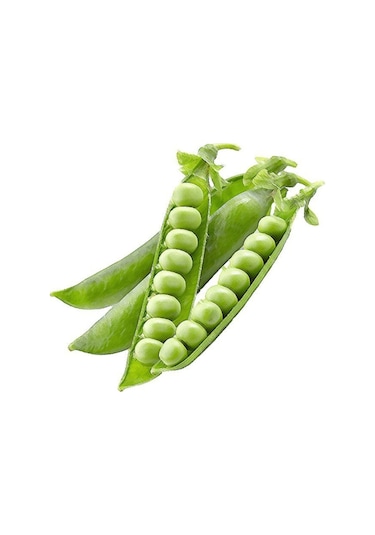 Bezelye Tohumu Ekim Seti 15 Tohum Saksı Toprak Kombin