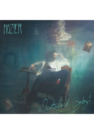 Hozier Wasteland, Baby - Plak