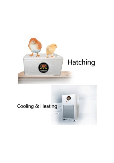 Pazly 50 C - 110 C Arası Hassas Sıcaklık Kontrolü Akıllı Termostat - Lemestar Zfx-w1602