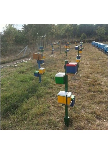 Plastik Ana Arı Çiftleştirme Kutusu 3 Çerçeveli 02500