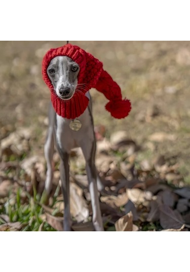 Elmpaly Kırmızı S Sevimli Evcil Hayvan Şapkası, Gri Weimaraner Ve Italian Greyhound İçin