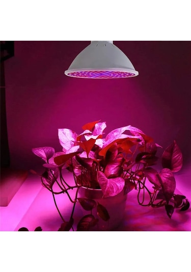 Reedark Bitkisel Büyüme Led Ampulü - Kırmızı Mavi Tam Spektrum, 80 Led, Gu10 Bağlantı Beyaz