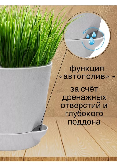 Interm Menekşeler, Sukulentler Ve Kaktüsler İçin Küçük Çiçek Saksısı 211028815