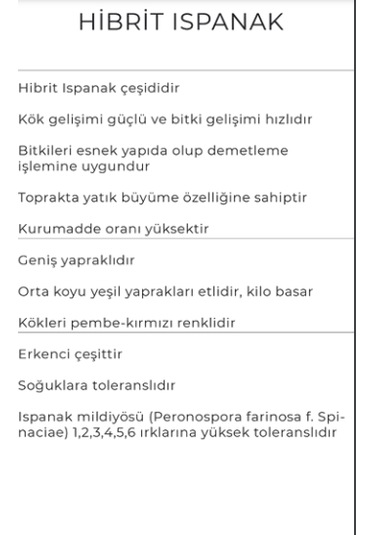 Ispanak Tohumu Catrina 10 Kg