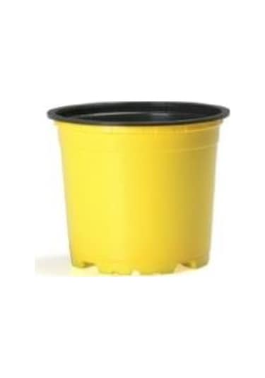 50 Adet Renkli Saksı Vakum Saksı Üretim Saksısı Ucuz Saksı