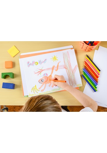 Bic Kids Plastidecor Silinebilir Elleri Kirletmeyen Pastel Boya 24 Renk