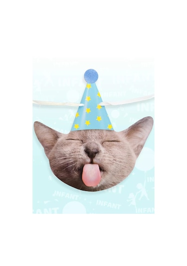 Infant Doğum Günü İçinşapkalı Kedili Bayraklı Işık Zinciri 177976919 Diğer