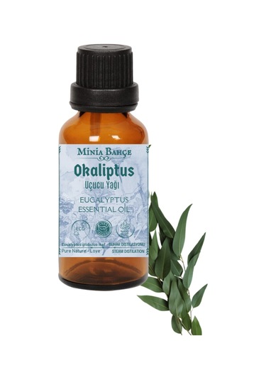 Minia Bahçe Okaliptus Uçucu Yağı 10 ML