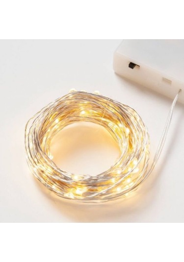 Petrix 50 Led Fairy String Light